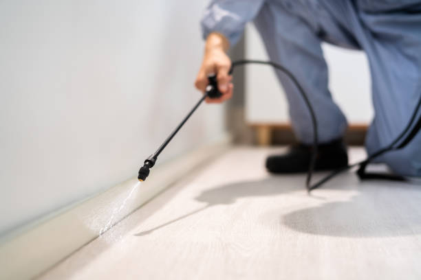 Licensed Pest Control service in Rosita, TX - Show Me Pest Control